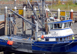 Marine Surveyors Alaska